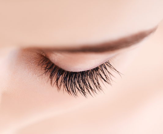 Tinting - Eye Lashes